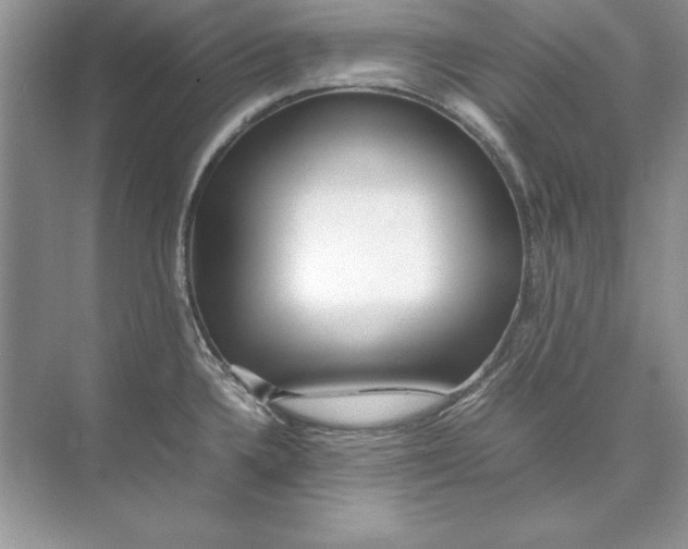 X0000074291336200609222259