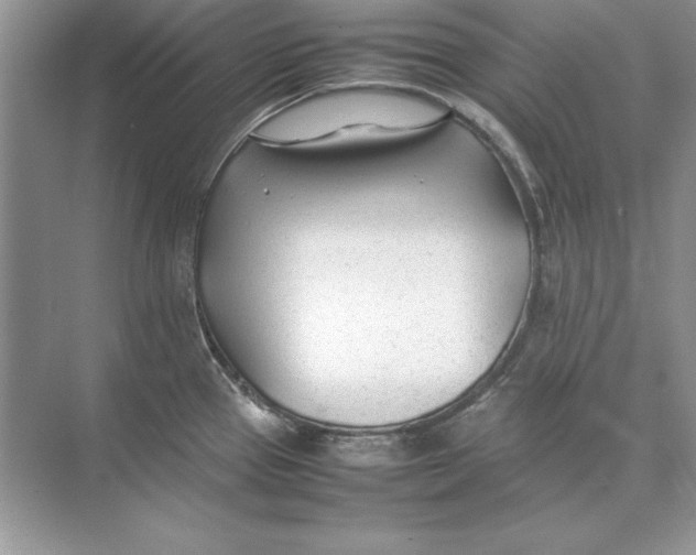 X0000074291337200609222259