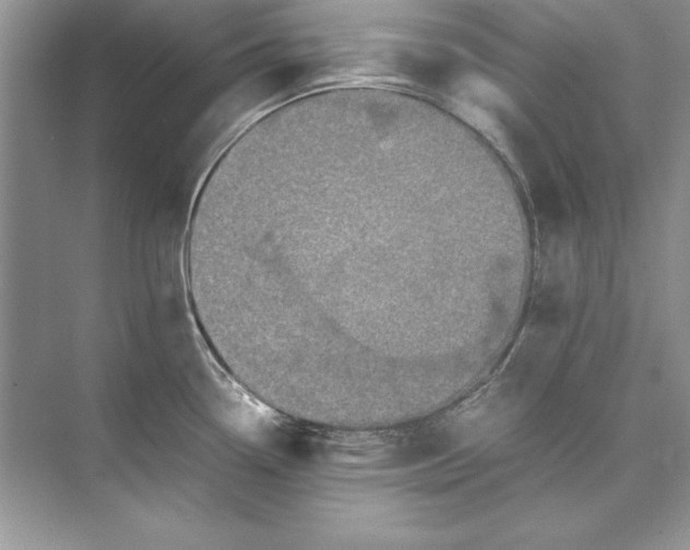 X0000074291338200609222259