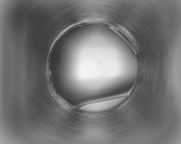 X0000074291340200609222259