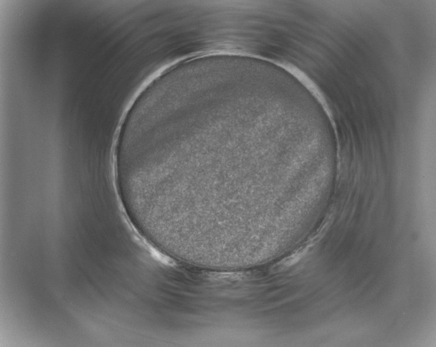 X0000074291341200609222259