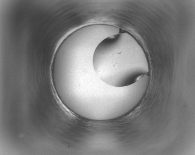 X0000074291344200609222259