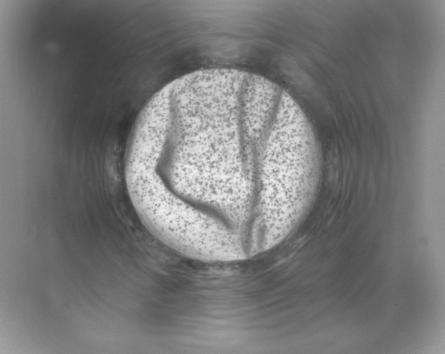 X0000074291346200609222258