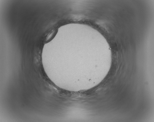 X0000074291349200609222258