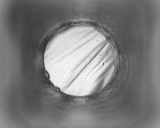 X0000074291351200609222258