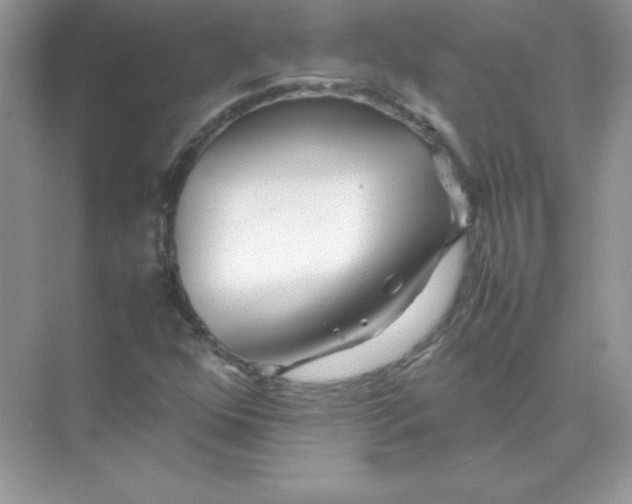 X0000074291352200609222258