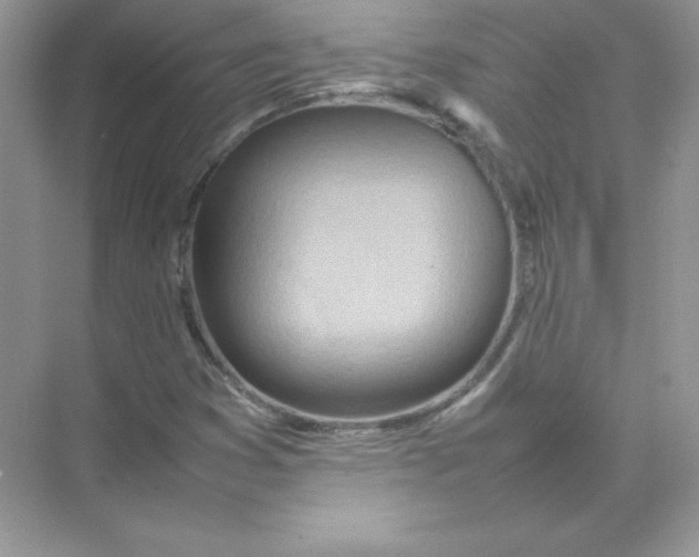 X0000074291353200609222258