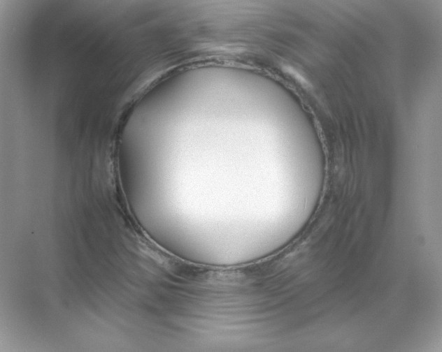 X0000074291354200609222258