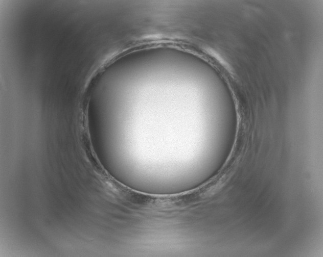 X0000074291357200609222258