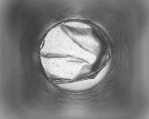 X0000074291359200609222258