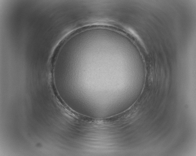 X0000074291360200609222258