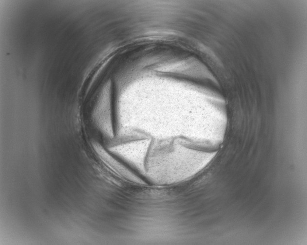 X0000074291362200609222258