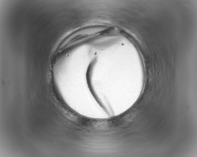 X0000074291363200609222258