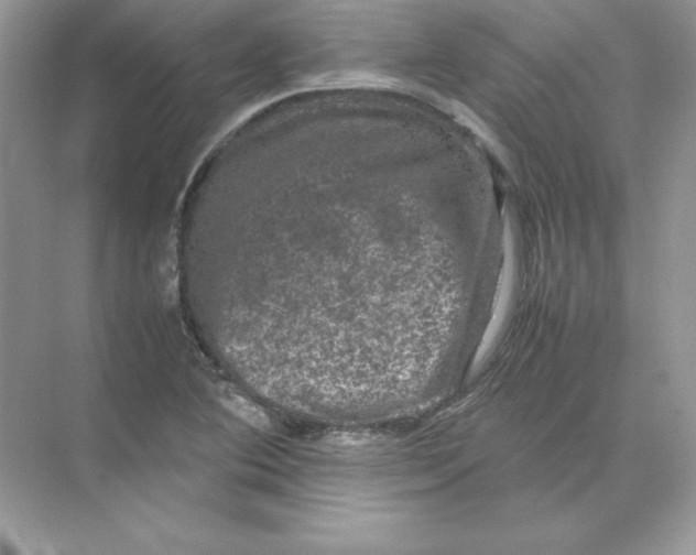 X0000074291364200609222258