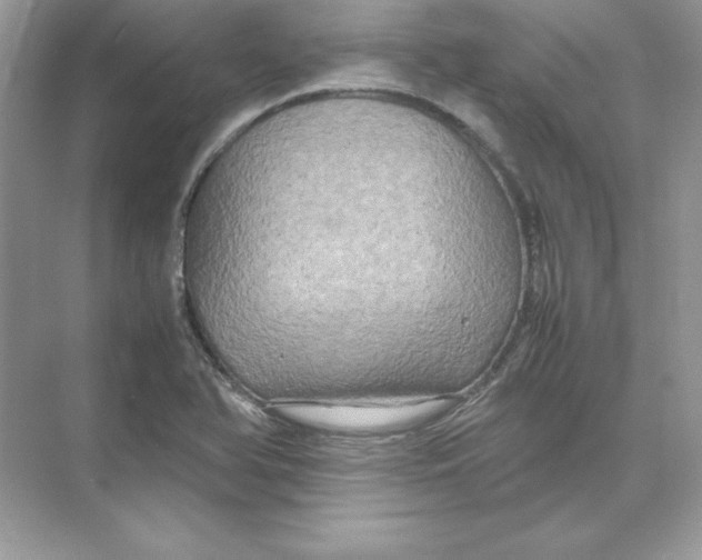 X0000074291366200609222258