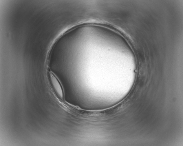 X0000074291367200609222258