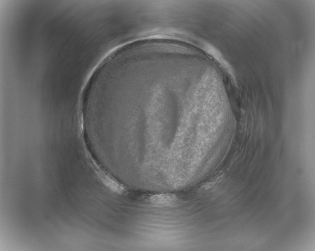 X0000074291368200609222258