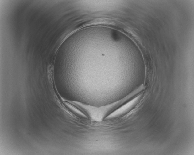 X0000074291369200609222258