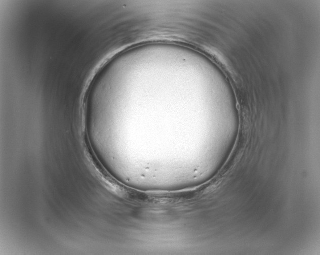 X0000074291371200609222258