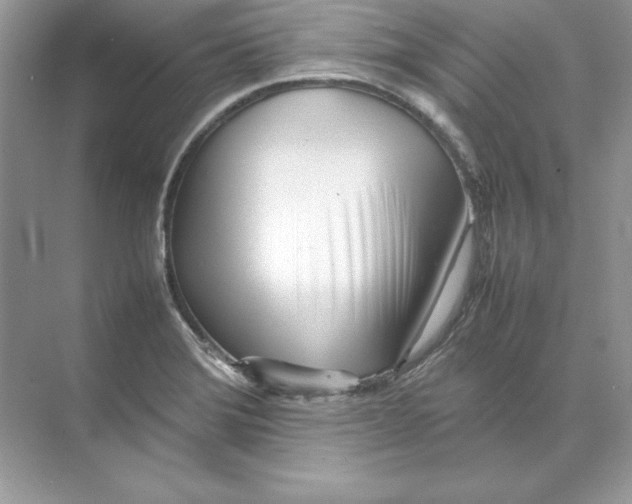 X0000074291372200609222258