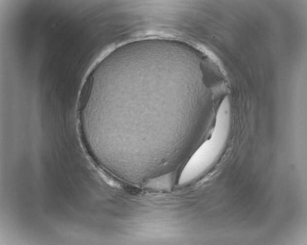 X0000074291373200609222258