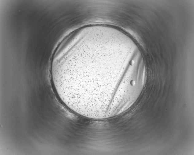 X0000074291374200609222258