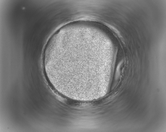 X0000074291375200609222258