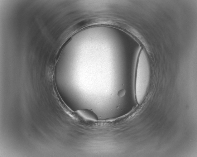 X0000074291377200609222258