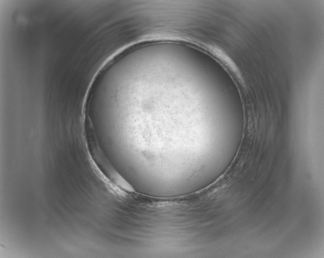 X0000074291380200609222258