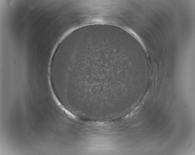 X0000074291381200609222258