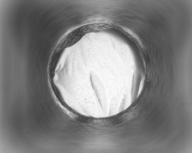 X0000074291383200609222258