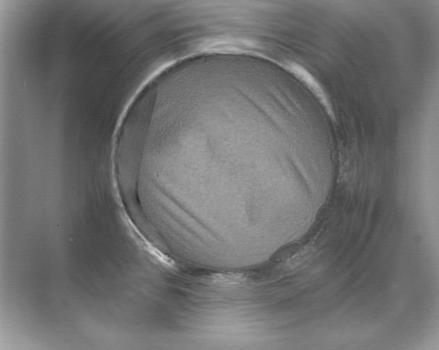 X0000074291384200609222258