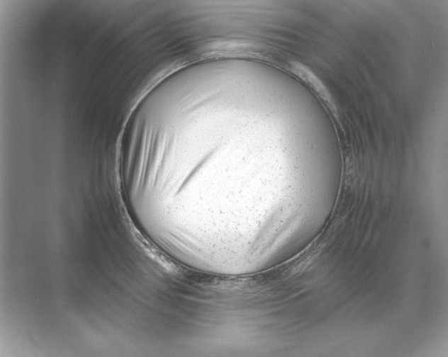 X0000074291386200609222258