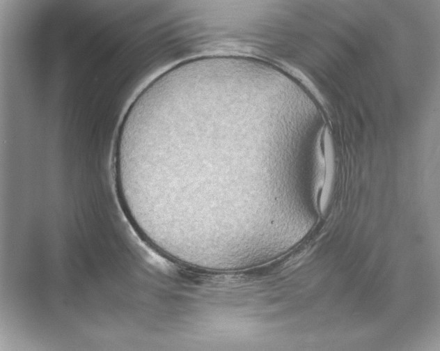 X0000074291387200609222258