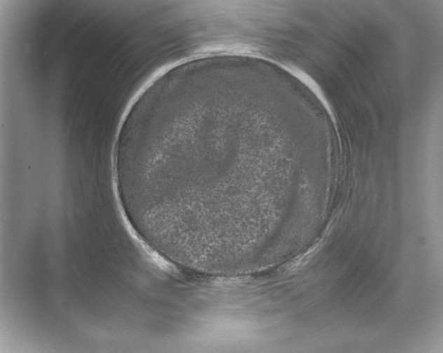 X0000074291389200609222258