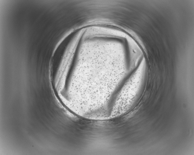 X0000074291390200609222258