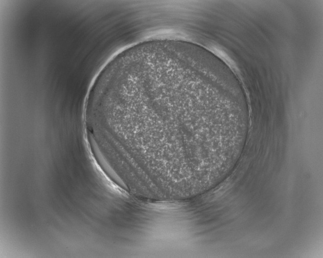 X0000074291392200609222258