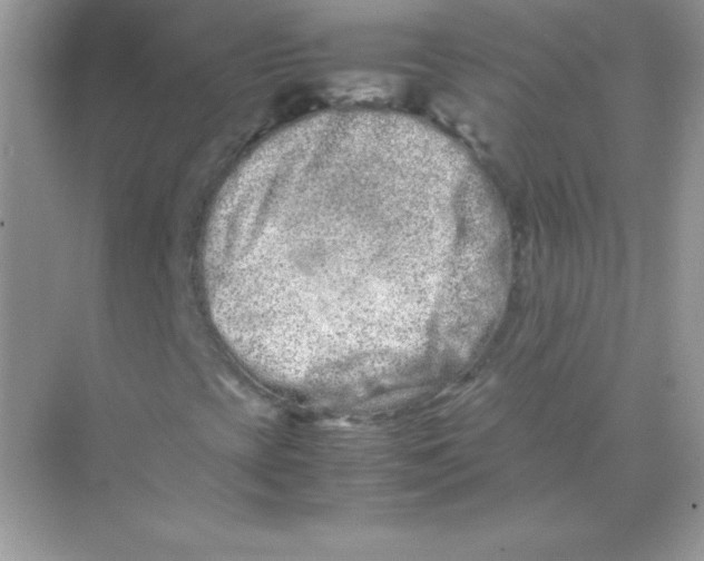 X0000074291393200609222257