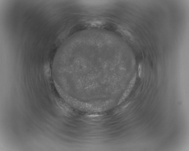 X0000074291395200609222257