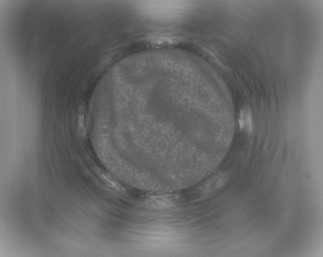 X0000074291396200609222257