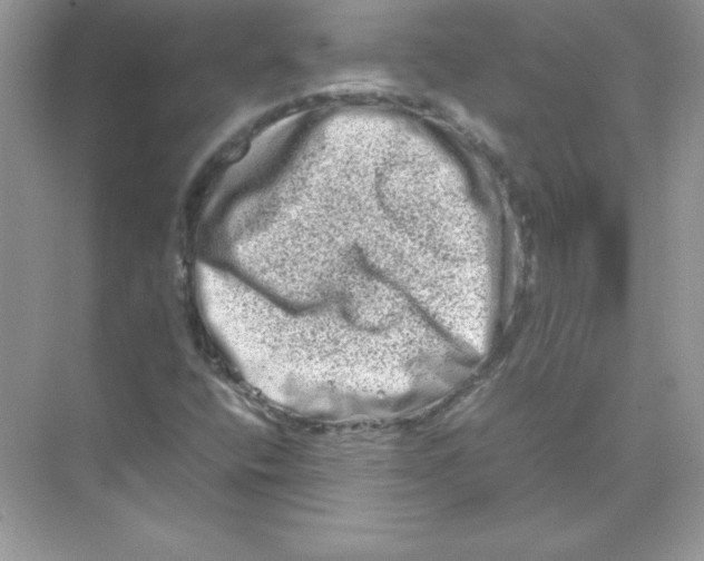 X0000074291400200609222257