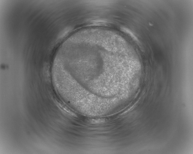 X0000074291403200609222257