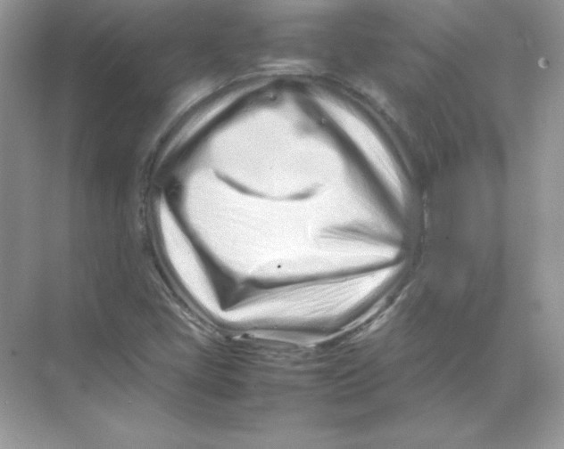 X0000074291405200609222257