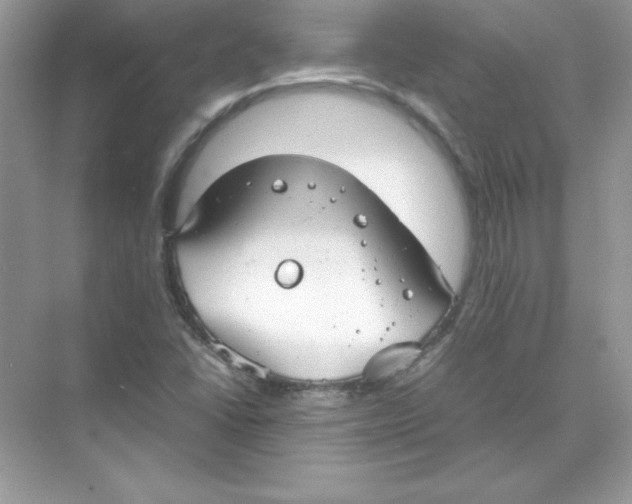 X0000074291406200609222257