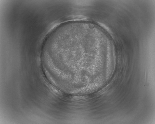 X0000074291407200609222257