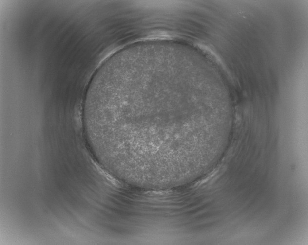 X0000074291409200609222257