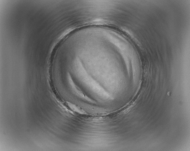 X0000074291410200609222257