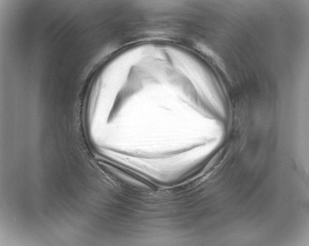 X0000074291411200609222257