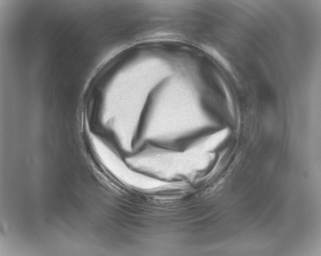 X0000074291413200609222257