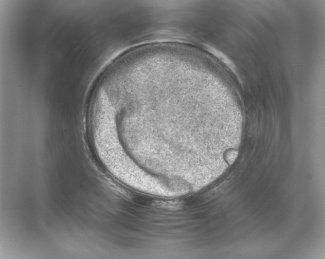 X0000074291415200609222257